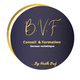 Logo BVF conseil & Formation